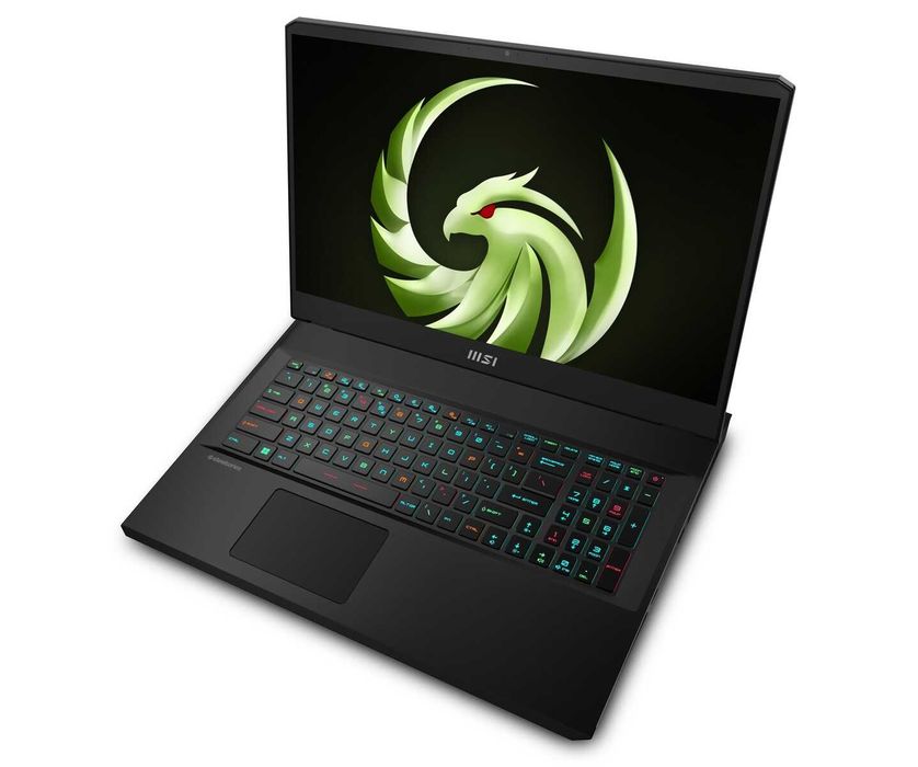 MSI Alpha 17.3 QHD IPS 240Hz Ryzen 9-7945HX DDR5 16 SD 1 TB RTX 4070 8
