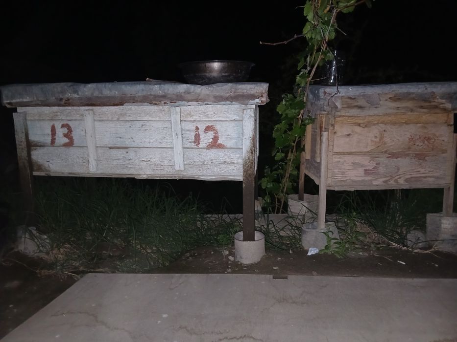 Асал арилар яшиклари сотилади