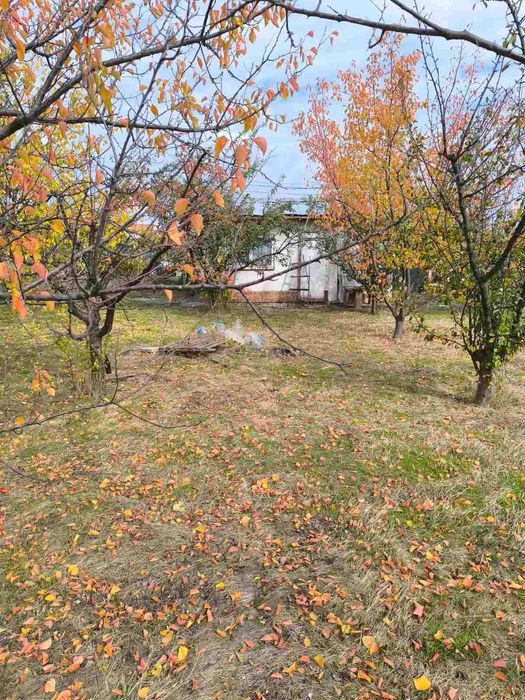 Продава се Къща в Шумен, Дивдядово - 1500 кв.м за 51 €/кв.м - Снимка #2