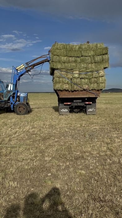 Проаю сено в тюках