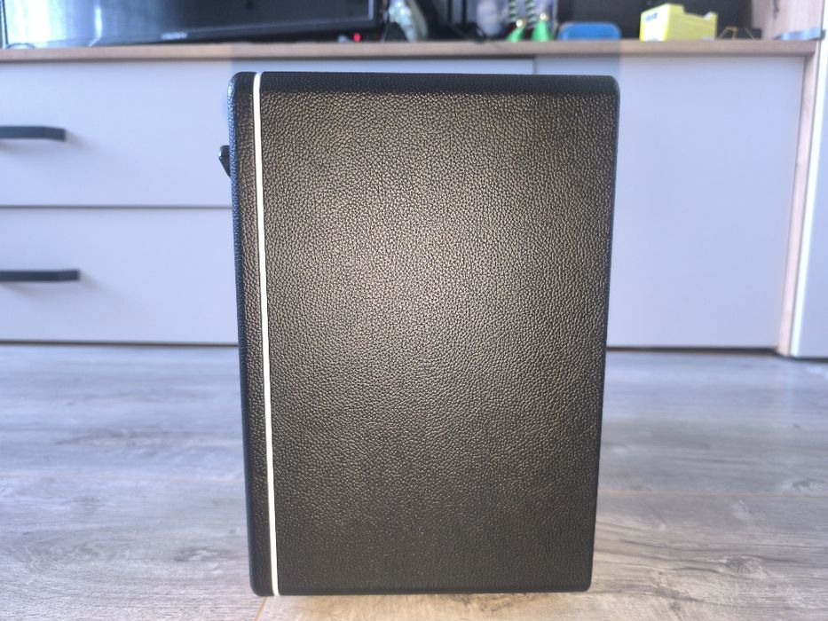 Mooer Hornet 30W Combo – Отлично състояние, готов за свирене!