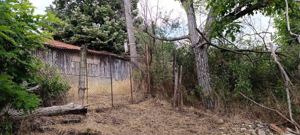 Парцел - с.Калипетрово-от собственик