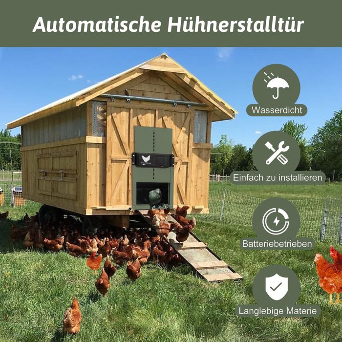 Usa automată pentru găini, Clapă electrică pentru găini,