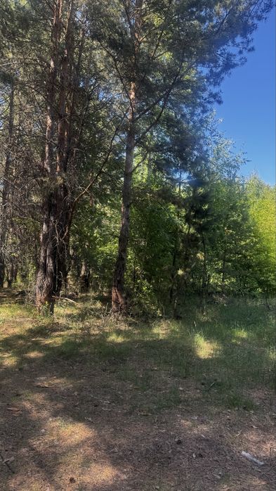 Продам дачу в с/о Куйбышевец