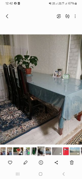 Столь б/у  ағашы мықты