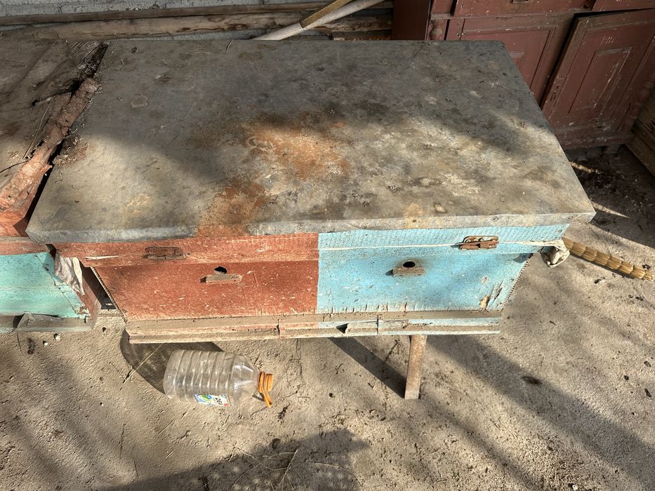 Ари яшик холати яхши