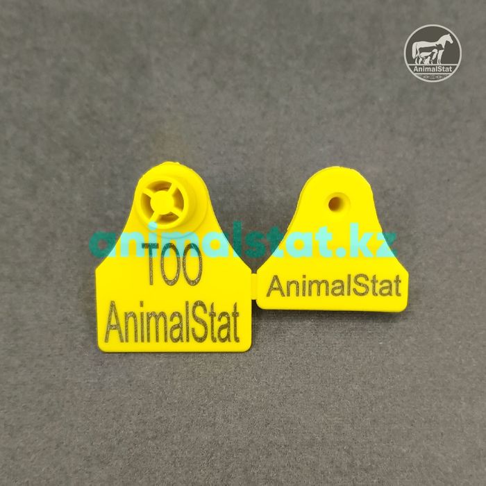 Чипирование – это просто, быстро и надежно!