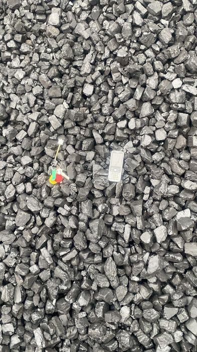 Шуборколь семачка