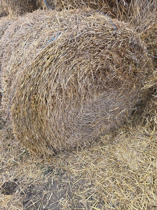 Baloti de fan si de paie 120×120