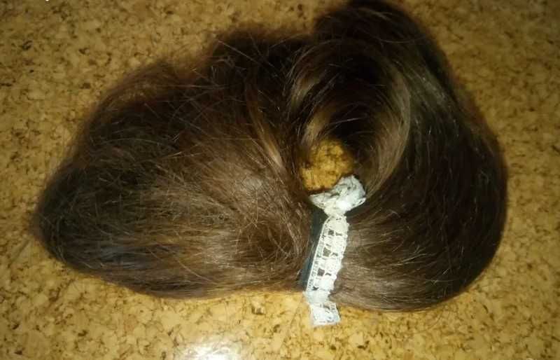 Естествена българска коса светлокестенява дължина 13 см