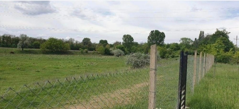 Teren intravilan  Bucov