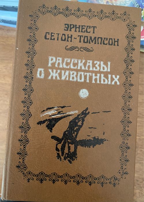 Книги Мэгги Стивогер