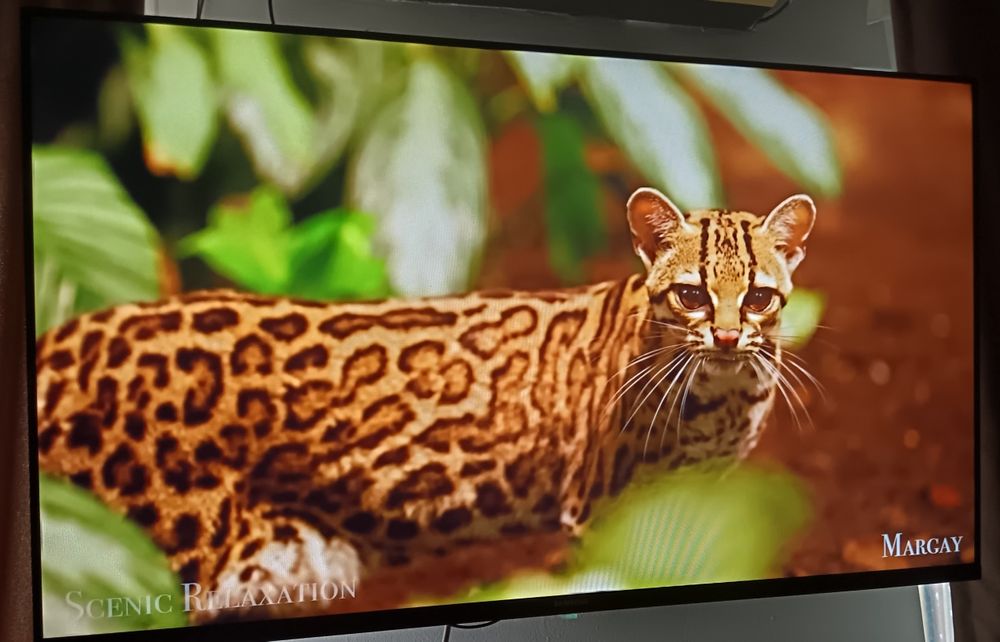 Телевизор смарт 109 см