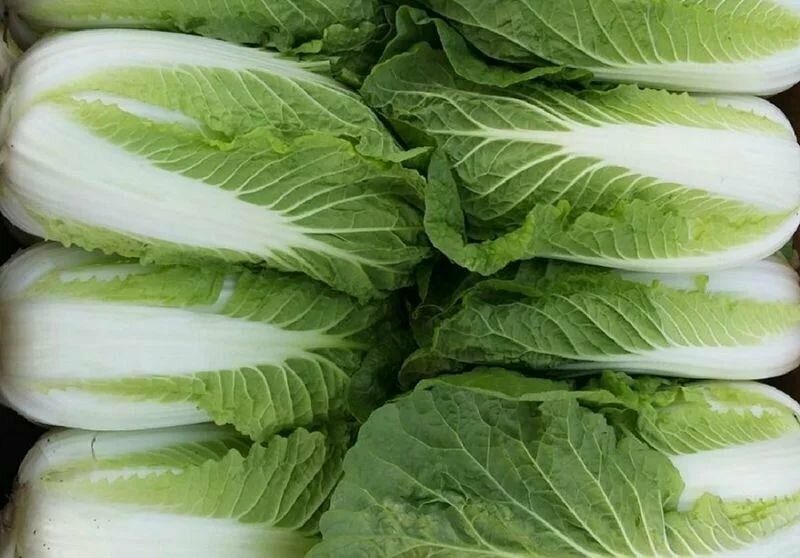 Продаю пекинскую капусту