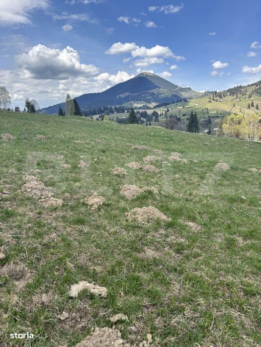 Teren in Vatra Dornei, str Rosu, 8450 mp, extravilan + intravilan