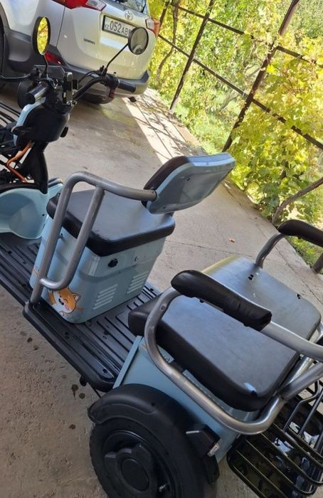 Трицикл леопард саудасы бар