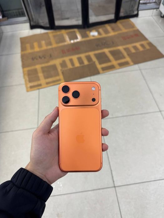 17 pro max orange