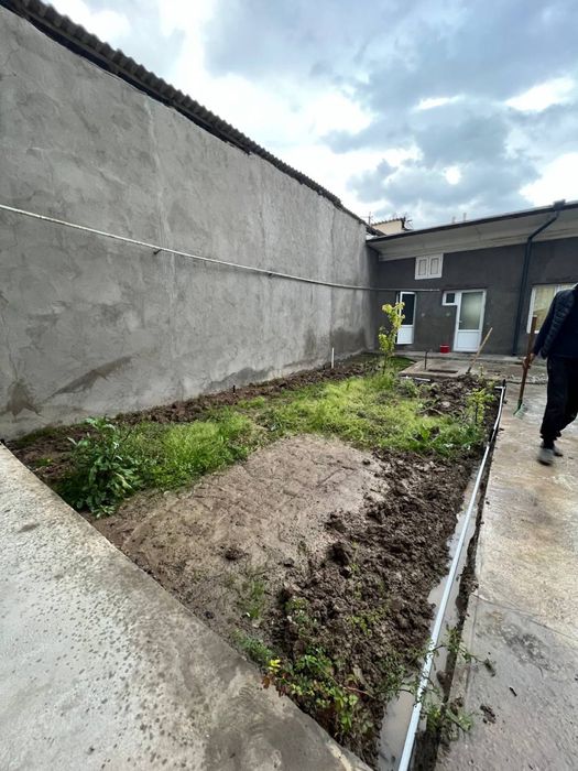 Газон екамиз уруг ва рулон 100% Халол!