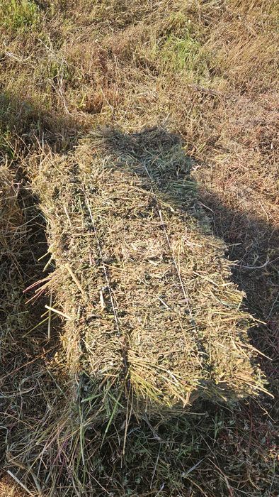 Продам Сено в тюках