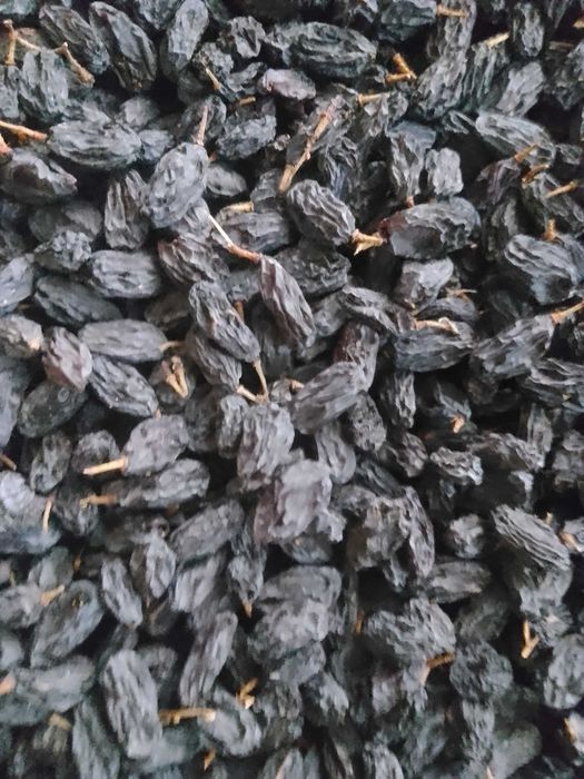 Bogchilik .. uzumchilik  ekinlar