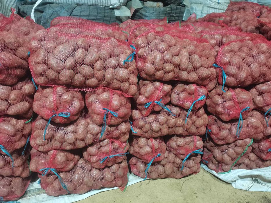 Cartofi samanta ultra