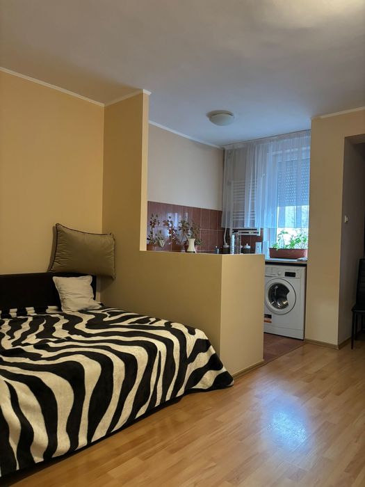 Vand Garsonieră Zona Rogerius