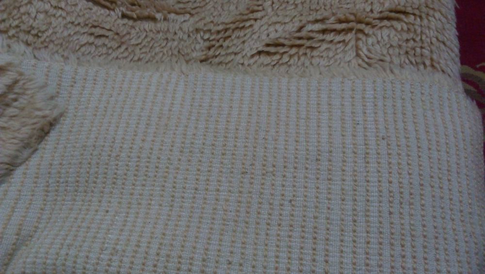 Родопски китеник