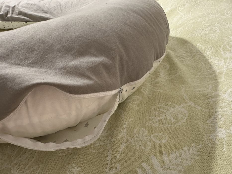 Perna pebteu gravide