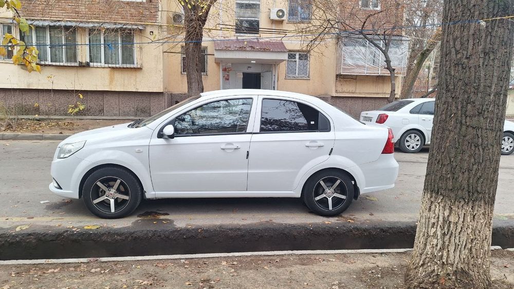 Barcha malumot telda