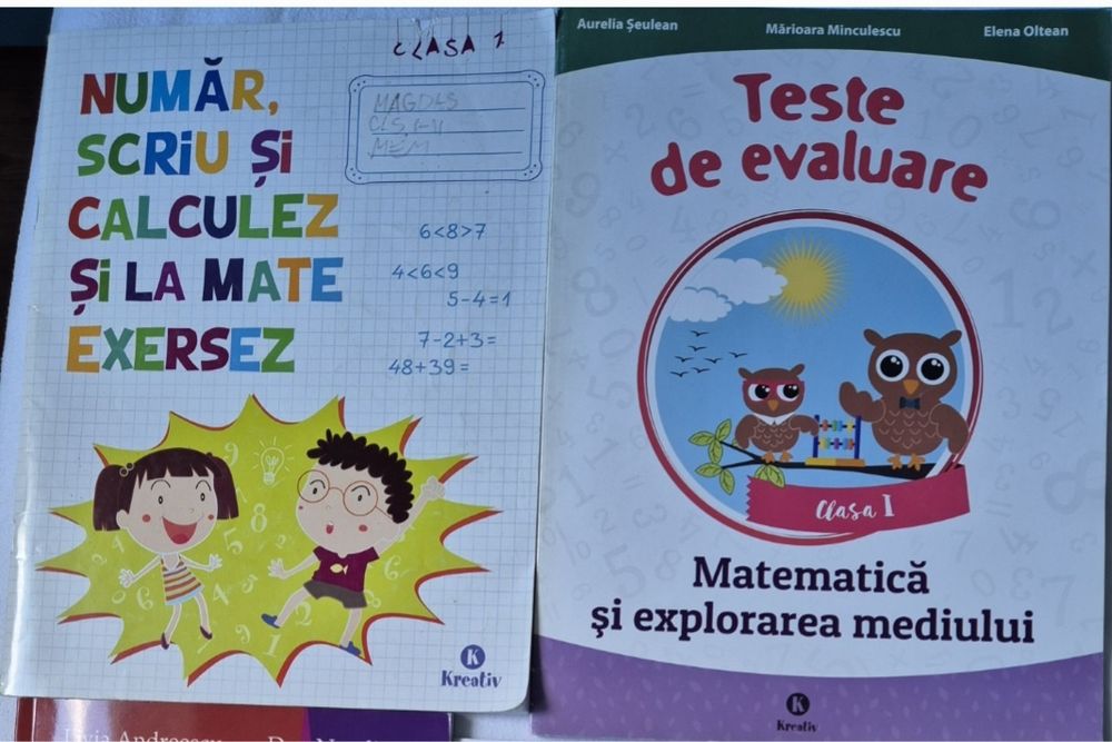 Lot dictionare in imagini si carte bilingva