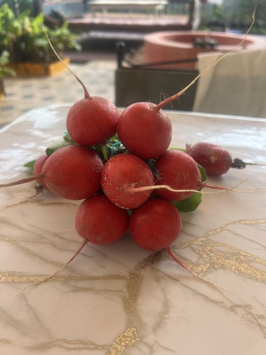 Семена редиска Белсай