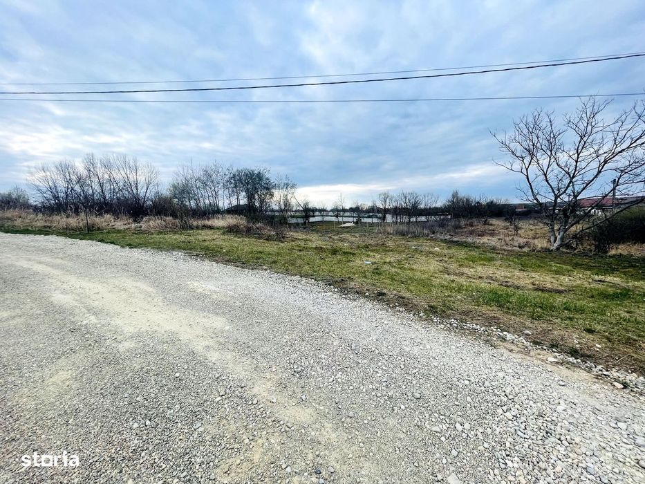 Teren Intravilan cu Front Dublu în Paleu