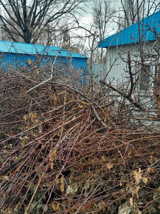 Отдам на дрова даром