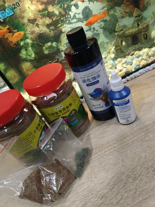 Продам аквариум с рыбками