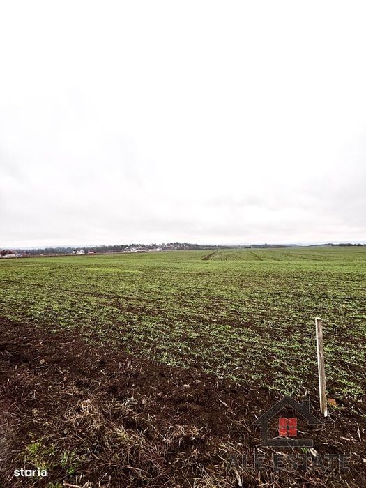 Teren extravilan de vanzare, suprafata 1860 mp, Baile Sarate- Turda