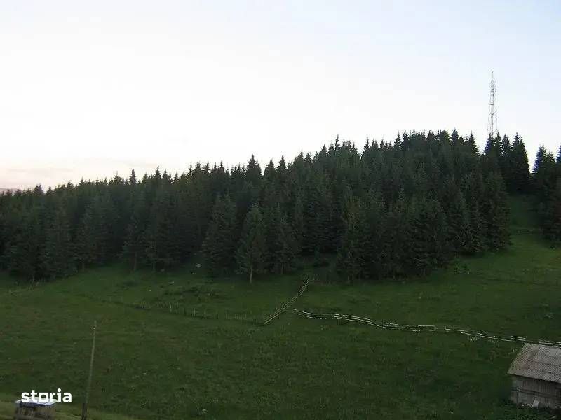 Teren Intravilan De Vanzare | Comuna Fundata | Fundatica | Brasov