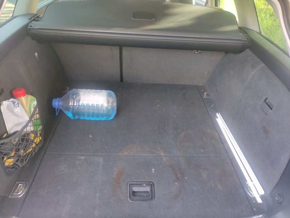 seat exeo st cutie automata