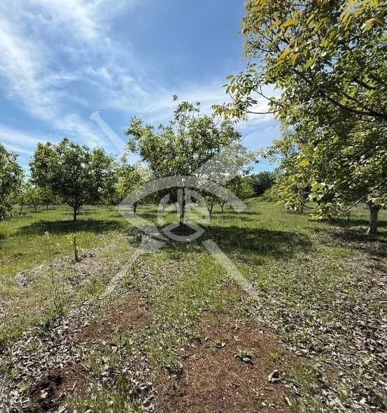 Земеделска земя - гр. Перущица - 102194