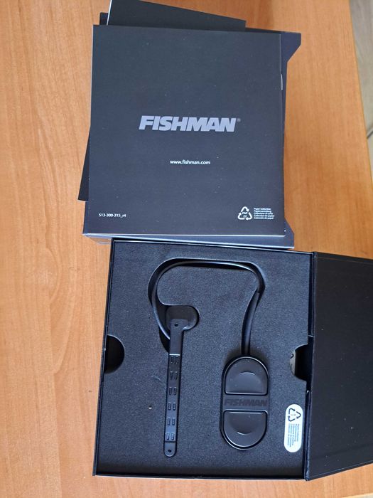 Fishman Triple Play Express