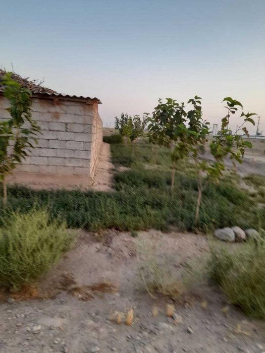 Shoshilinch Termizda Hovli uy sotiladi