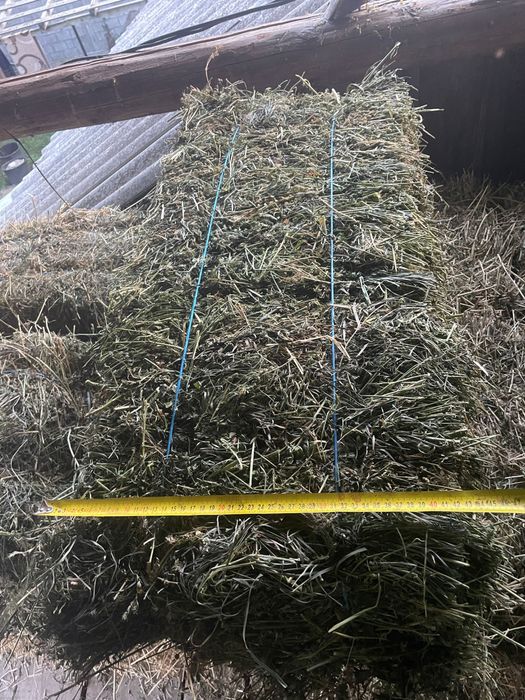 Baloti lucerna calitatea 1