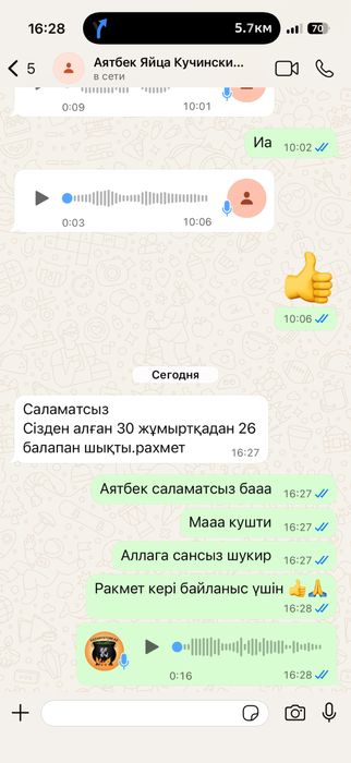 Инкубационные яйца Кучинский