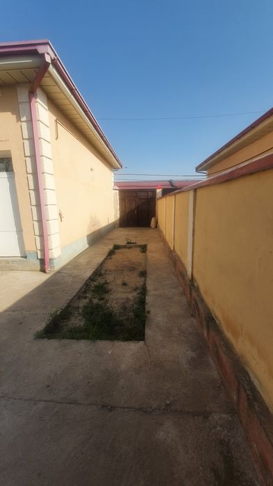 Uy kotej Bulungur