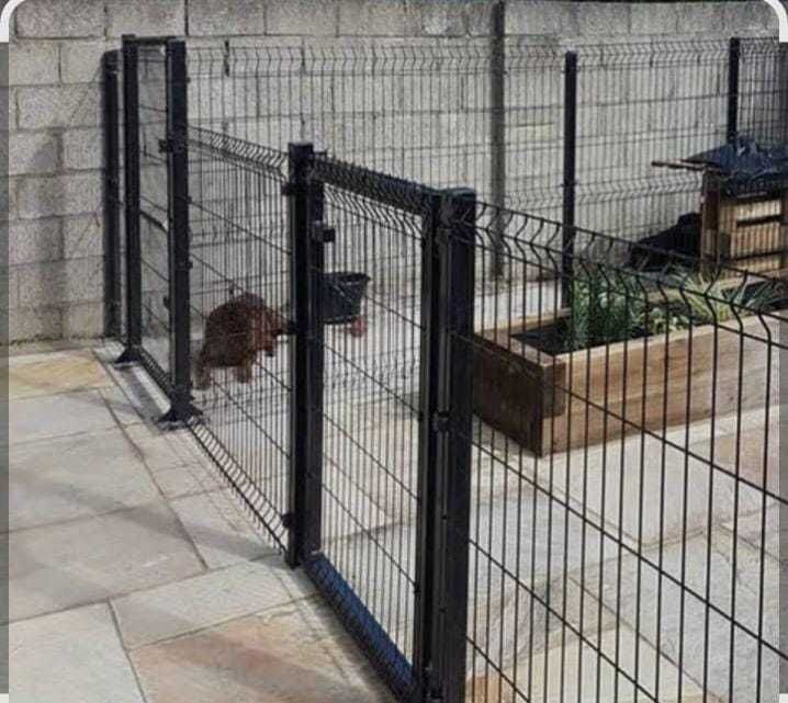 Вольеры для собак из 3Д сетки