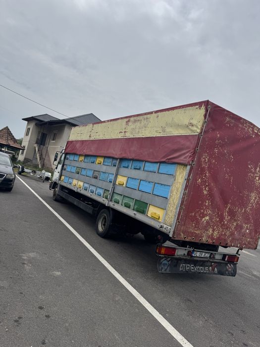 Camion apicol MAN