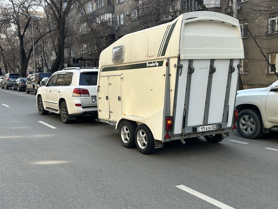 Перевозка лошадей