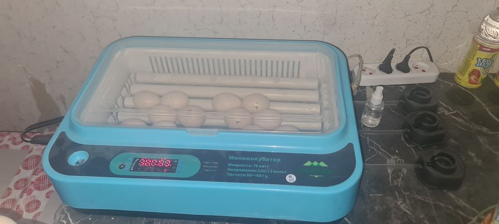 Продам инкубатор на 36 яиц