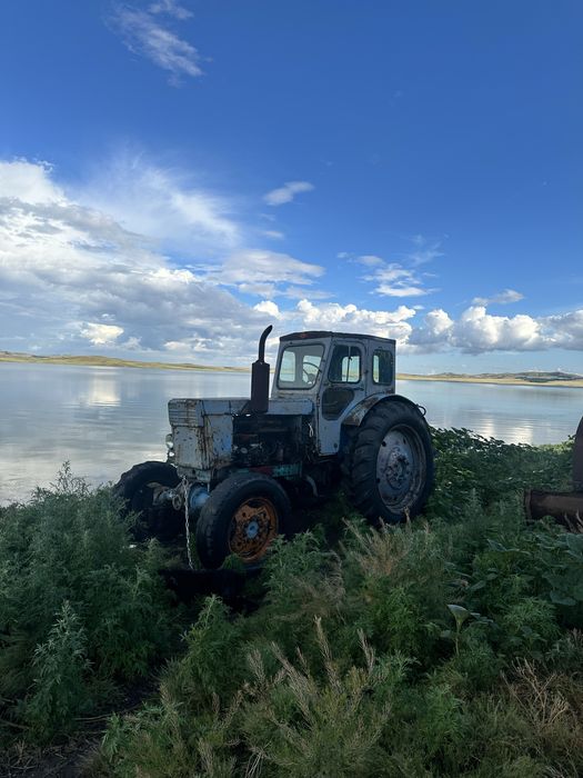 продам трактор Т40АМ