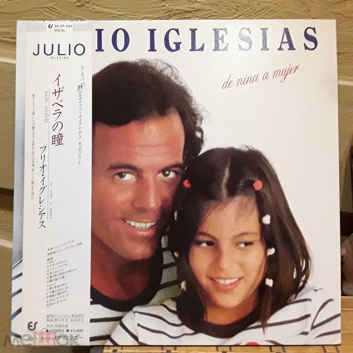 Julio Iglesias   (  виниловая пластинка )