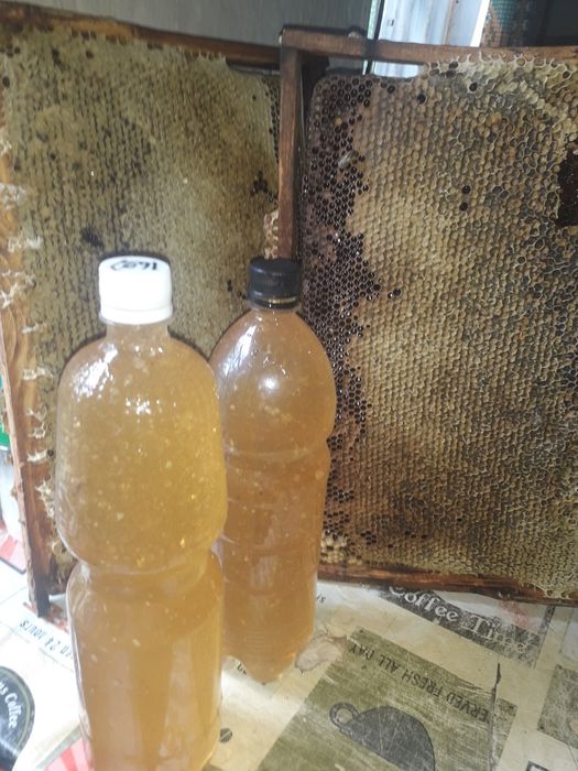 Продам мед, мёд, медок!